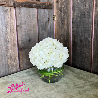 Hydrangea Elegance