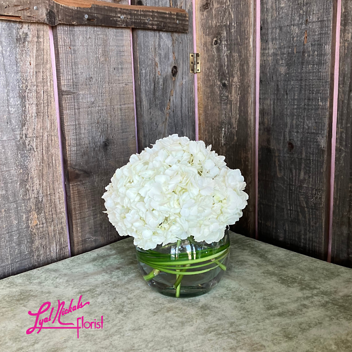 Hydrangea Elegance