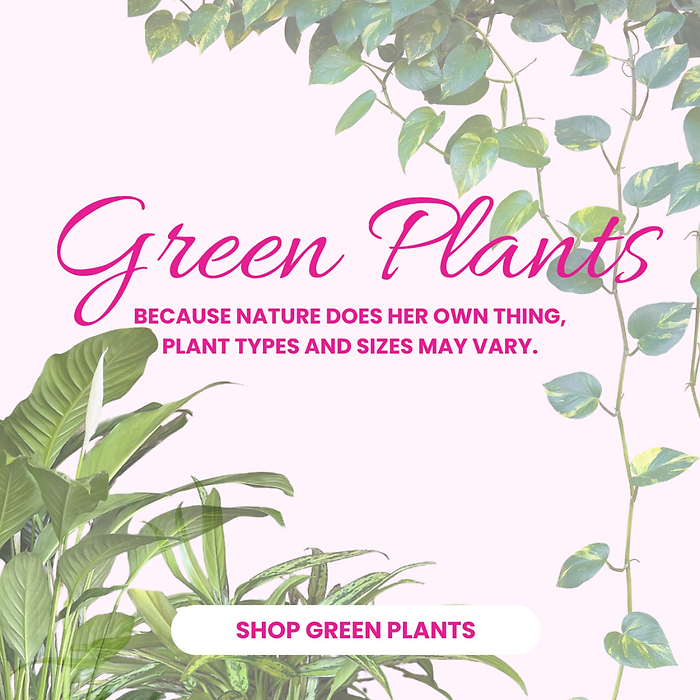 Green Plant Designer\'s Choice