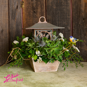 Songbird Garden Feeder