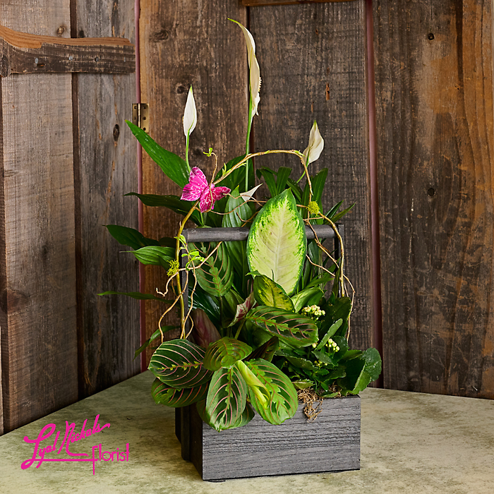 Green Room Eurogarden