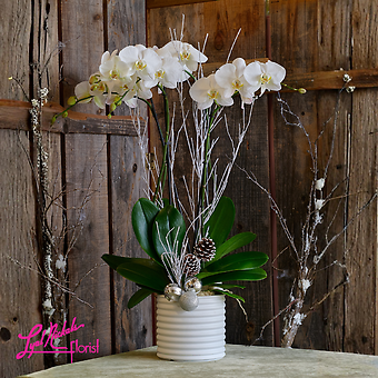 Double Double Holiday