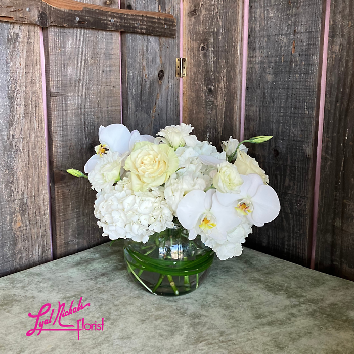 Hydrangea Elegance