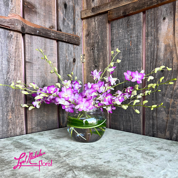 Dendrobium Desire