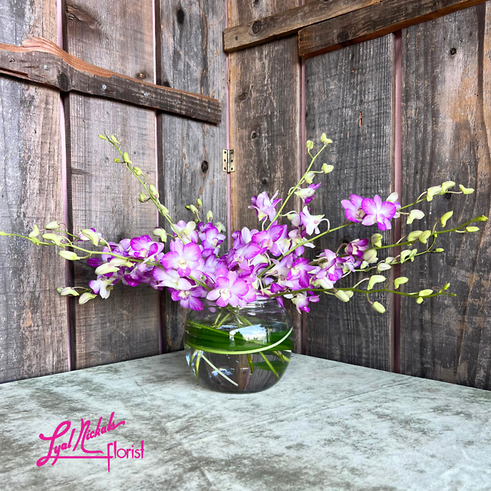 Dendrobium Desire