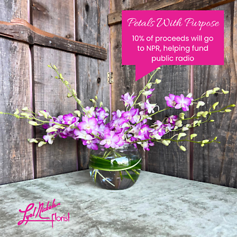 Petals with Purpose - Dendrobium Desire
