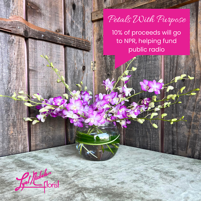 Petals with Purpose - Dendrobium Desire
