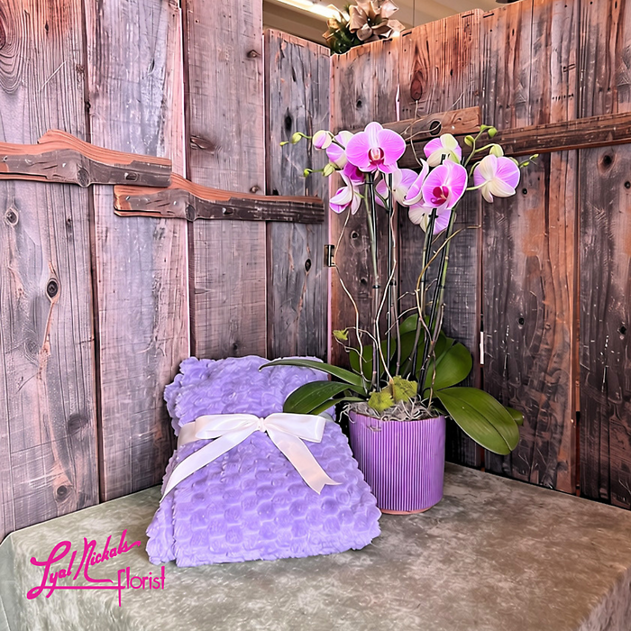 Orchid Retreat