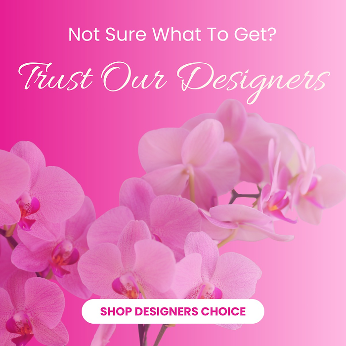 Designer\'s Choice