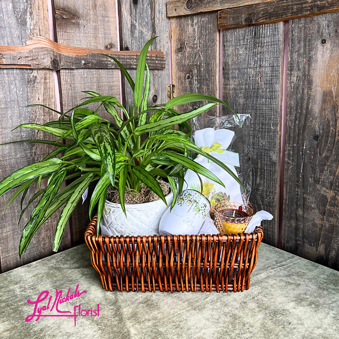 Plant Lady Basket